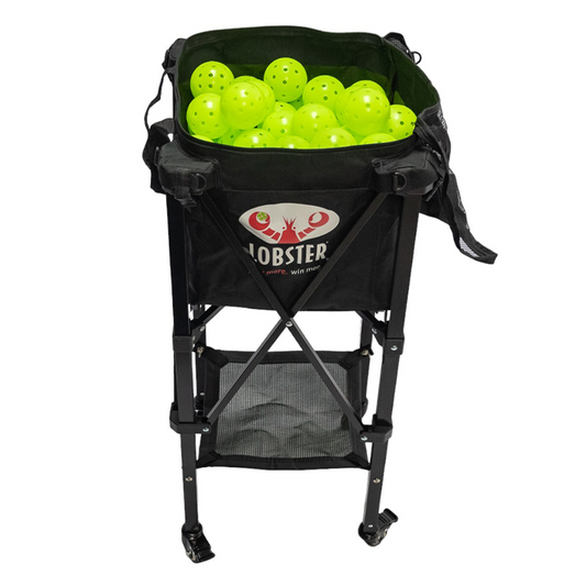 lobster pickleballs, qty 100